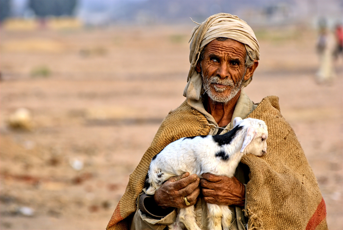 Man Holding a Small Sheep