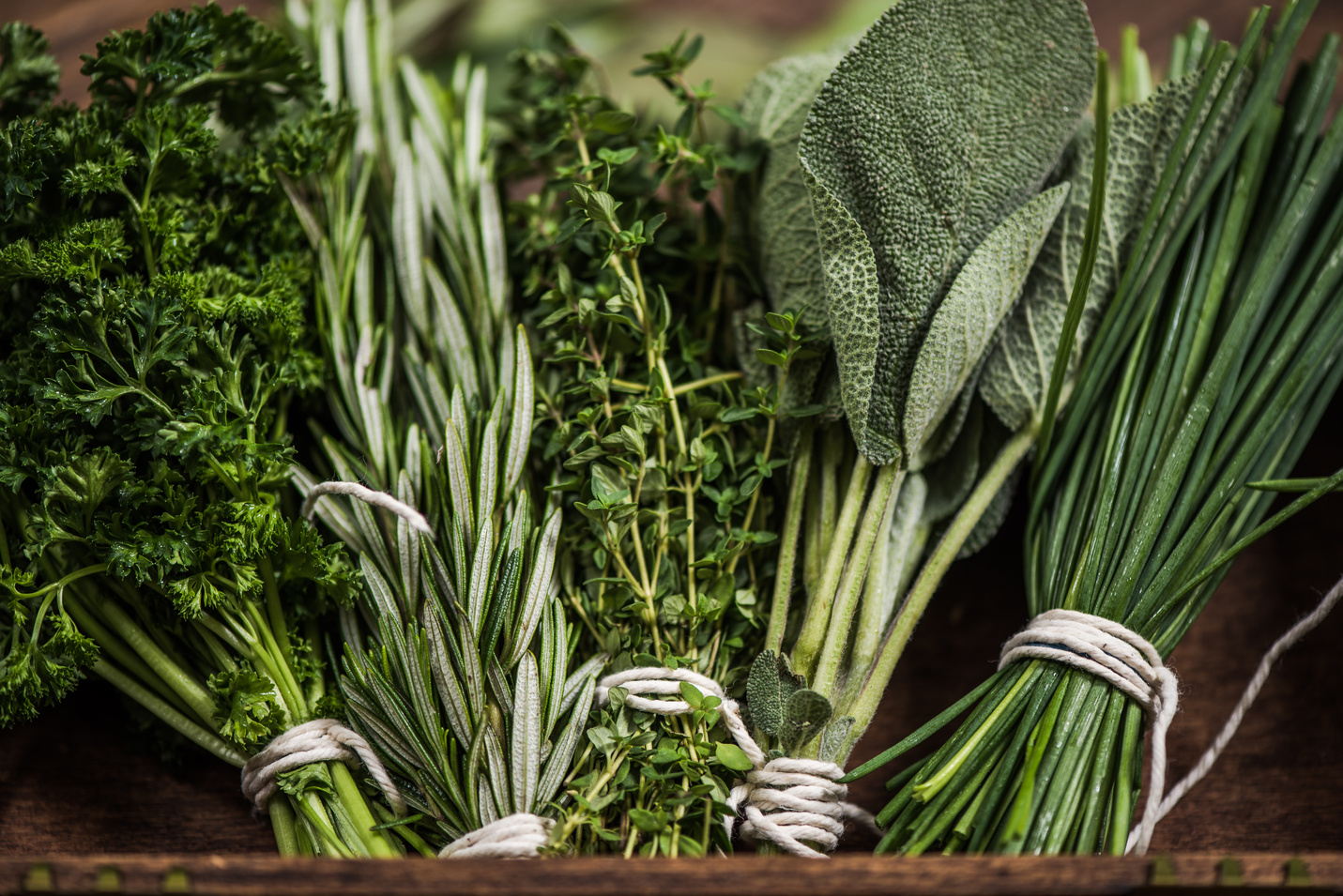 close view on fresh herbs